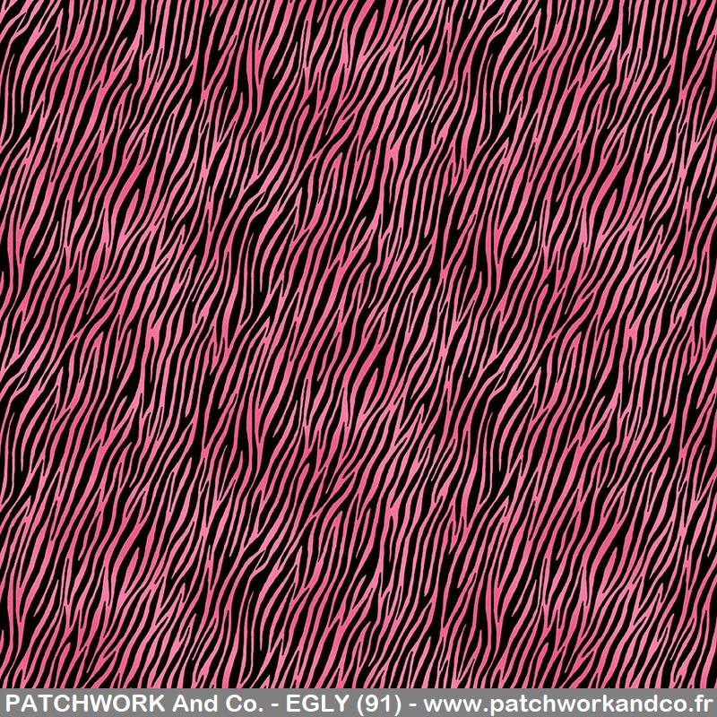 2401_P_zebra.jpg